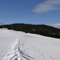 Schneeschuhwandern (20090104 0037)